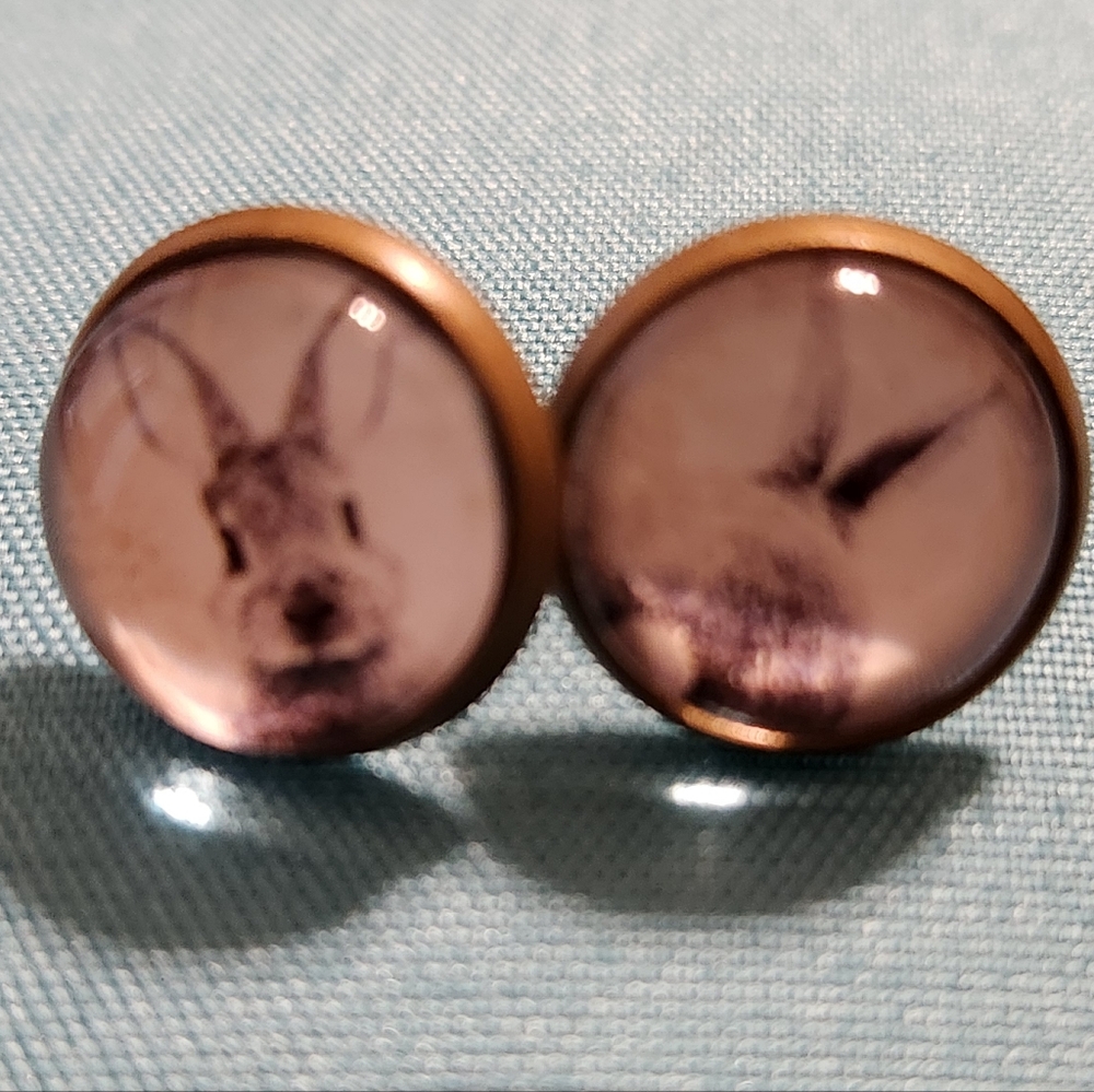 Vintage Rabbit Illustration Earrings